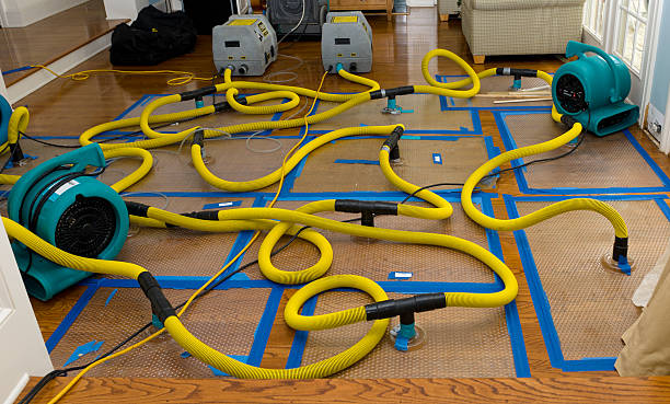Professional Basement Flood Cleanup technician working in Attica, MI