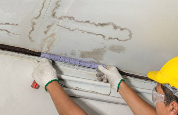 Affordable Water Damage Repair solutions in Attica, MI